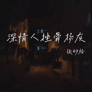 深情人挫骨扬灰DJ版 - 张妙格