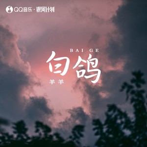 白鸽 - 羊羊