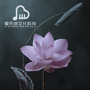 明媚阳光《解压放松（五音疗疾 钢琴曲）》