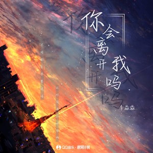 你会离开我吗 - 李淼淼