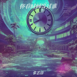 你看时间等过谁 - 张艺迈