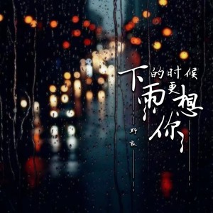 下雨的时候更想你 - 野良