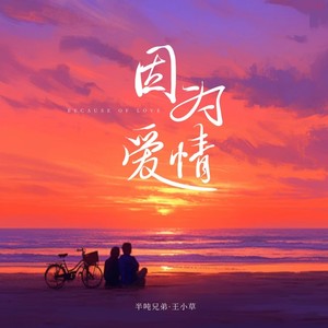 因为爱情 (DJ豪大大版) - 半吨兄弟