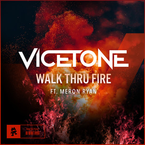 Walk Thru Fire - Vicetone