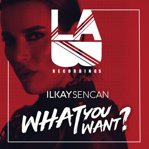 What You Want - Ilkay Sencan