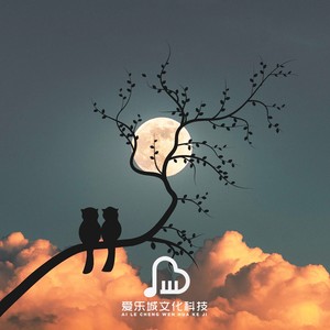 思敏哥哥《魔幻 阿尔法脑波音乐》