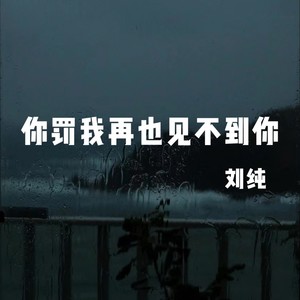 你罚我再也见不到你 (DJ先森版) - 刘纯