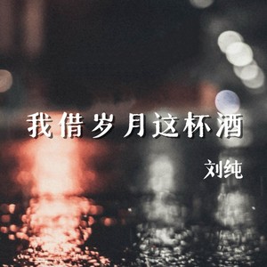 我借岁月这杯酒 (DJ先森版) - 刘纯